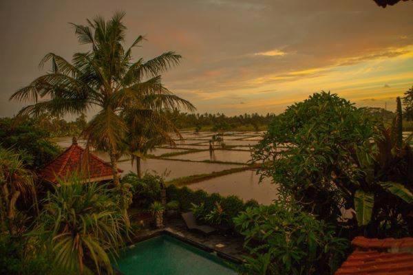 White House Ubud Exterior foto